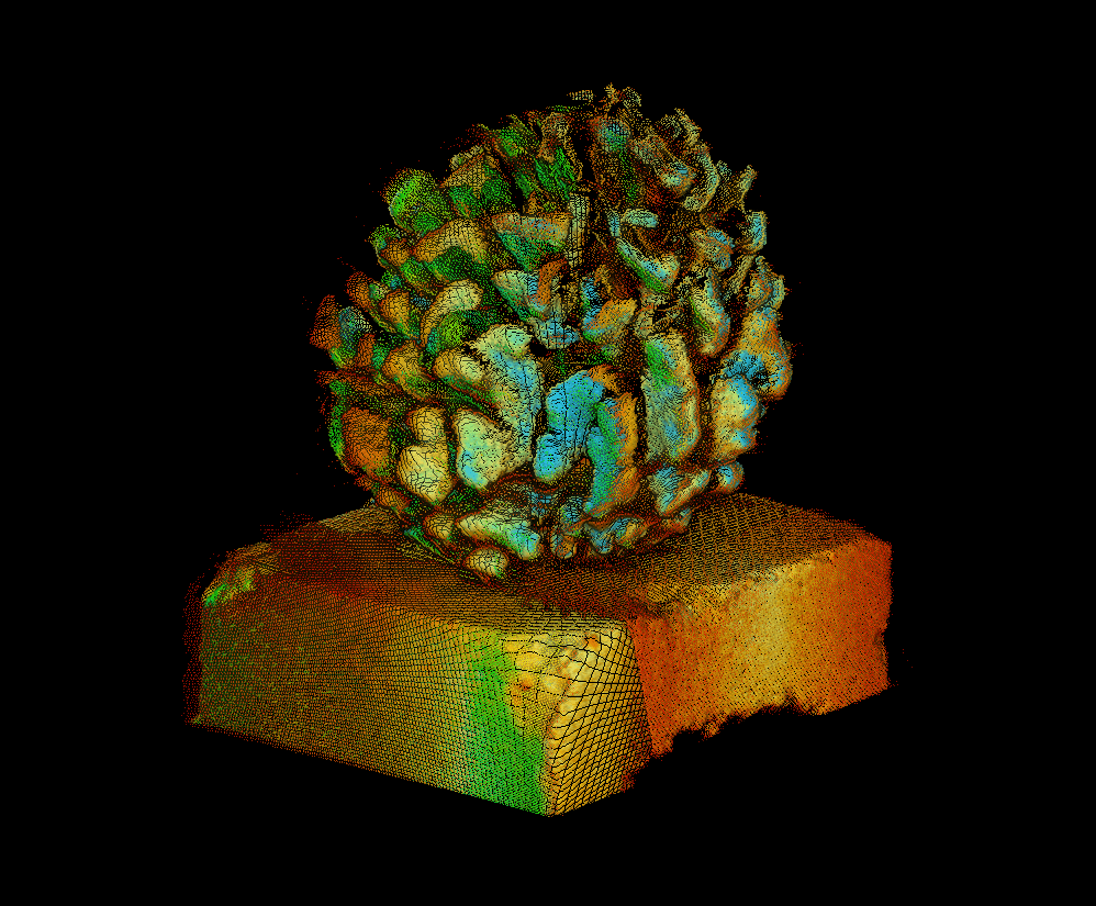 3D laser data of coral