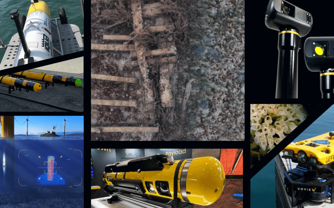 Our Year in Review!