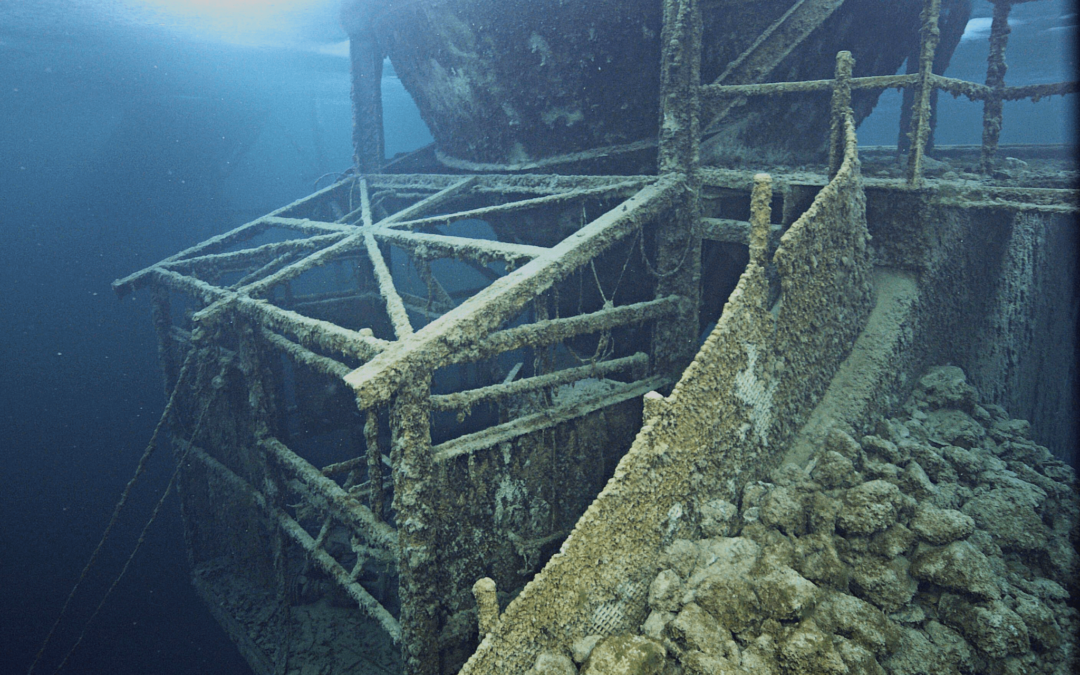 Discovery Vision System: Vertical vs Downward Underwater Inspections