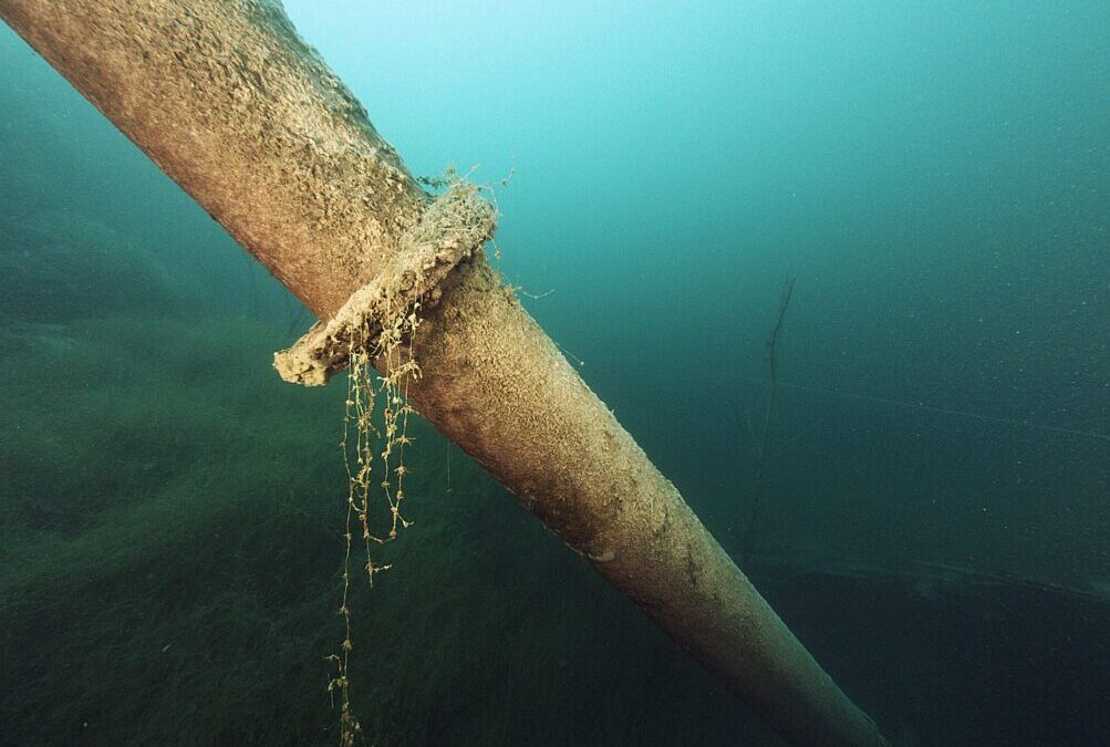 Discovery Vision System: Enhancing Situational Awareness for ROV Piloting