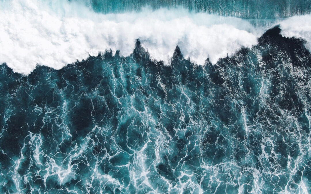 Diving Deep: Ocean Sciences and Sustainable Economic Development