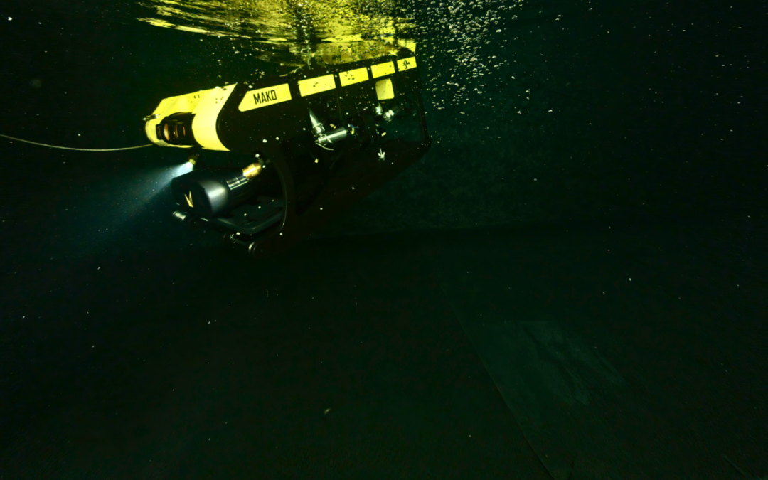 Discovering the Depths: SEAMOR and Voyis Collaborative Technology