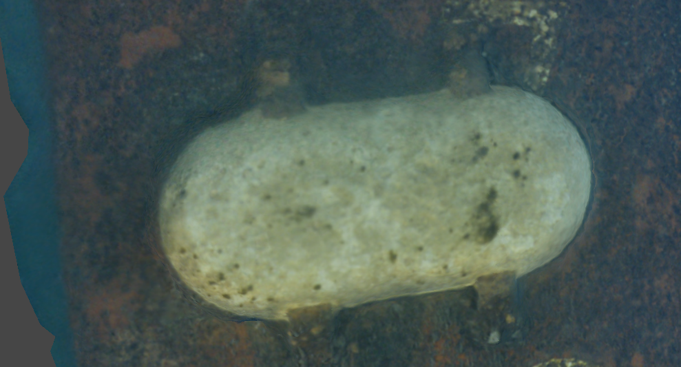 Voyis Expedition: Ensuring Hull Protection Through Advanced Anode Inspections