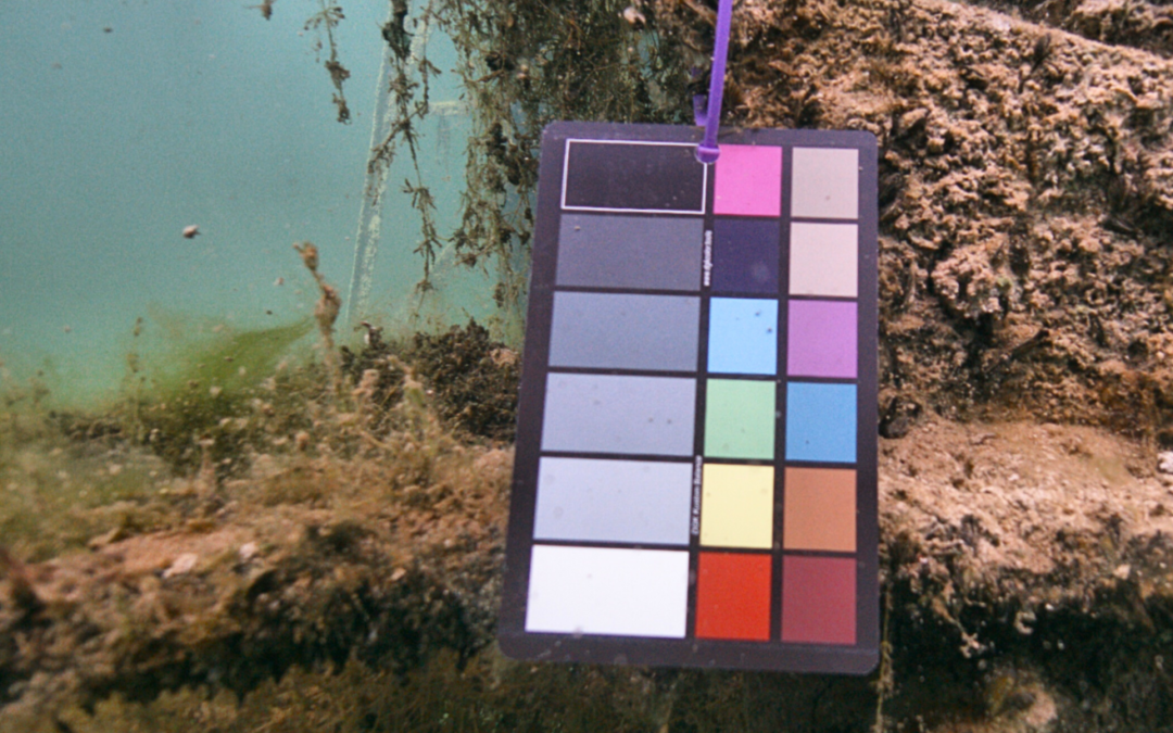 Seeing the Ocean in True Colour: Why It Matters
