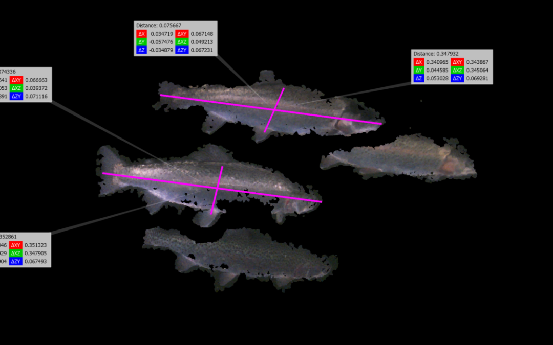 From Experience to Innovation: Insights from Aqua-Cage on Fish Pen Inspections