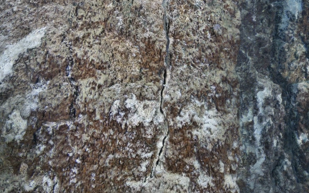 Case Study: High-Resolution 3D Inspection of a 67m Vertical Natural Canal Wall Using the Discovery Stereo Camera