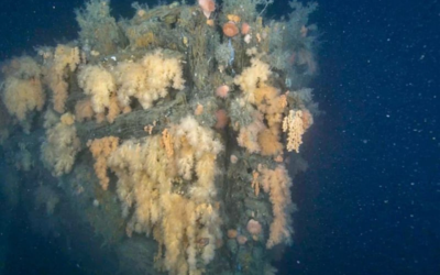 First Images from the Quest Expedition Reveal More Than a Historic Shipwreck